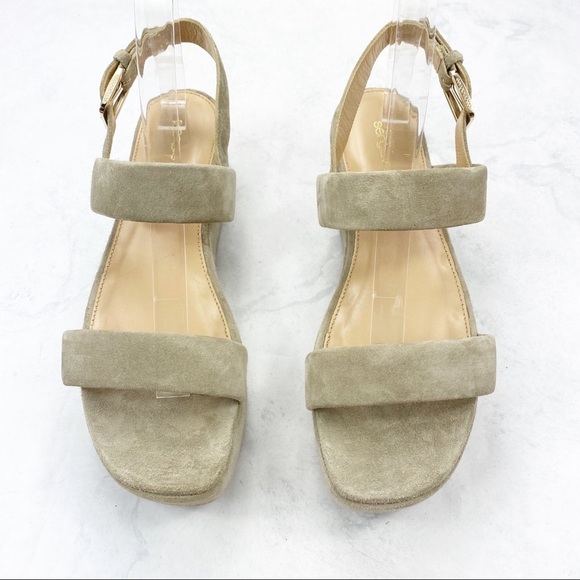 [Sergio Rossi] Classic Suede Platform Sandals - Picture 7 of 7